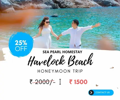 Summer Deal 3